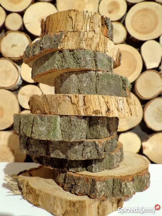 plastry drewniane Dąb pęknięty z ubytkami 2023 odcienie brązowego Dekoracje i ozdoby Rybnik