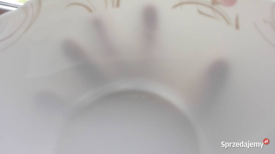 Salaterka porcelanowa duża 255 Warpechy Stare sprzedam