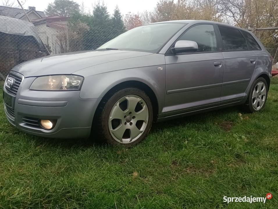 Audi A3 8P SportBeck