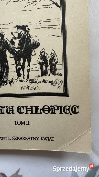 Jest tu chlopiecksiazka t1 i 2 ALisowska Lublin