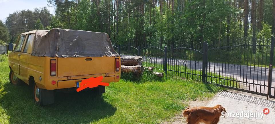 Tarpan Wólka Łysowska