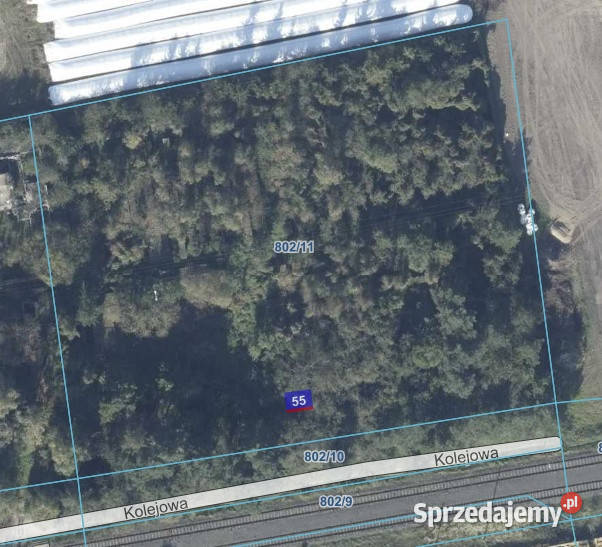 Działka Lasocice Sprzedaż wielkopolskie sprzedam