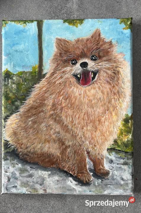 Obrazek olejny na płótnie 18x24 Piesek Obrazki i obrazy Świebodzin sprzedam