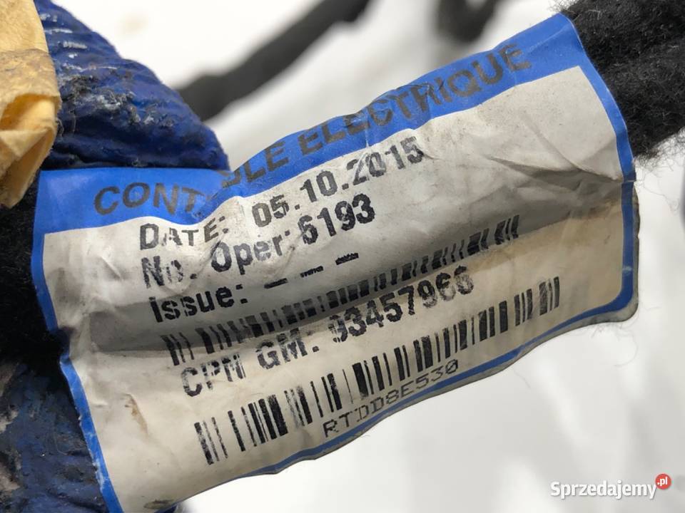 WIĄZKA DRZWI PRZÓD LEWY RENAULT TRAFIC III osobowe Drzwi podkarpackie