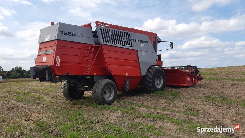 Massey Ferguson 7256 nieuszkodzony wielkopolskie