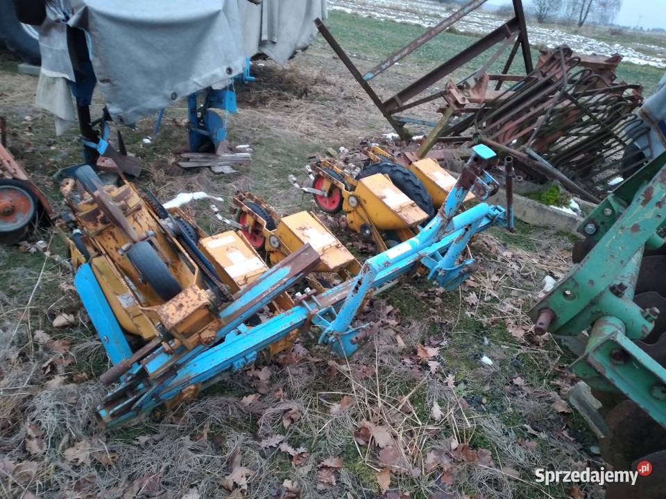 Siewnik do buraków SCHMUTZER Rolnictwo Aleksandrów