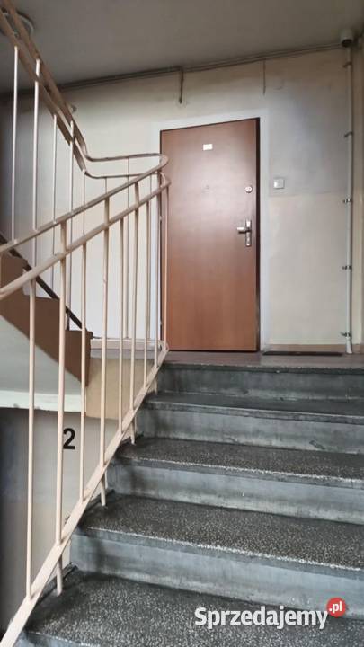 2pok 37met Ogrodu Botanicznego WINDA ZARAZ Wrocław