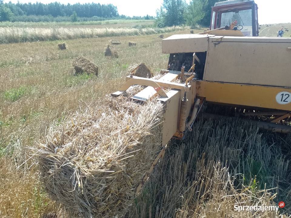 Prasa kostkujaca sipma Sipma świętokrzyskie Starachowice