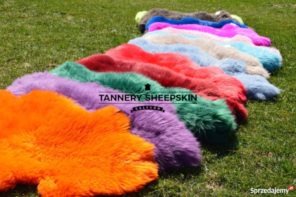 Skóra Owcza 14 KOLORÓW Skóry Owcze Dekoracyjne Wyposażenie wnętrz małopolskie Szaflary