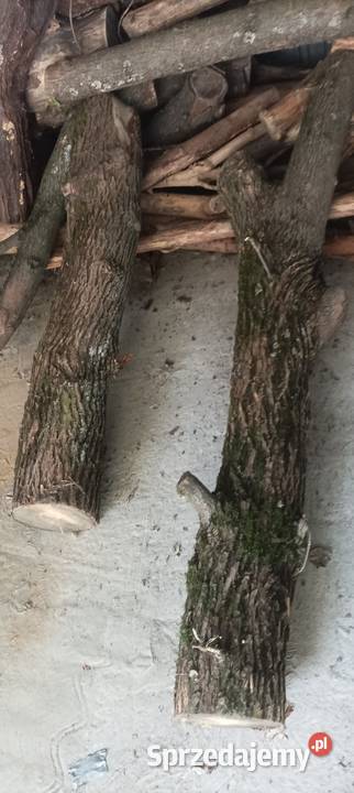 Drewno opałowekominkowe Łódź sprzedam