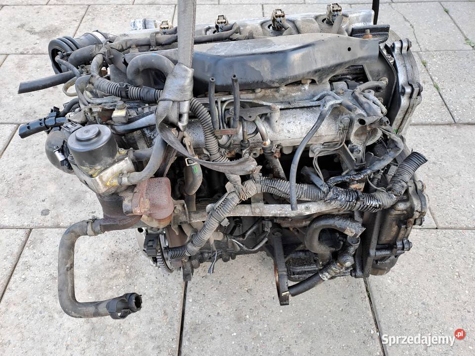 Nissan Almera Primera P12 22Di 6biegowa skrzynia śląskie Jastrzębie-Zdrój
