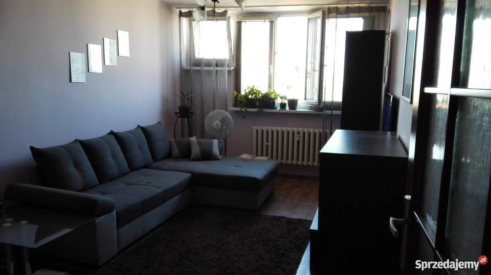 słoneczne mieszkanie w bloku Ruda Śląska Nowy Nieruchomości Ruda Śląska