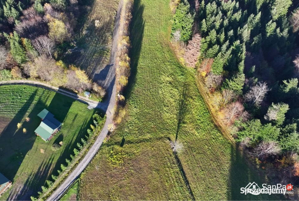 sprzedaży gruntu Werlas 1986m2 224zł/m2