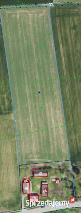 Gospodarstwo Rolne Zabudowania Dom Pole Działka Sprzedaż małopolskie Proszowice