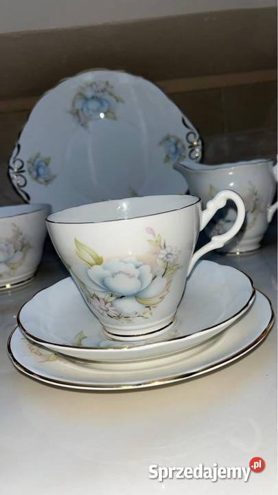 Filiżanka Montfort Staffordshire Biltons England Gdańsk