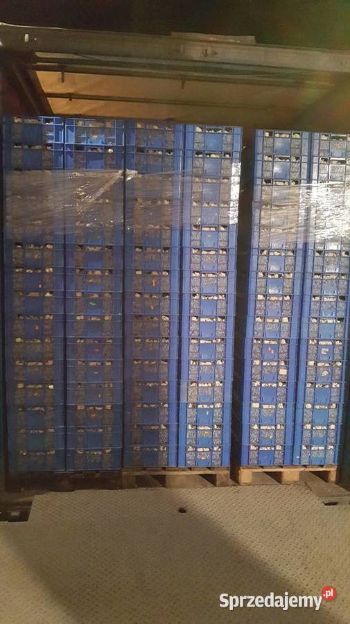 Zabudowa bdf 12cm3 lubelskie Ziółków sprzedam