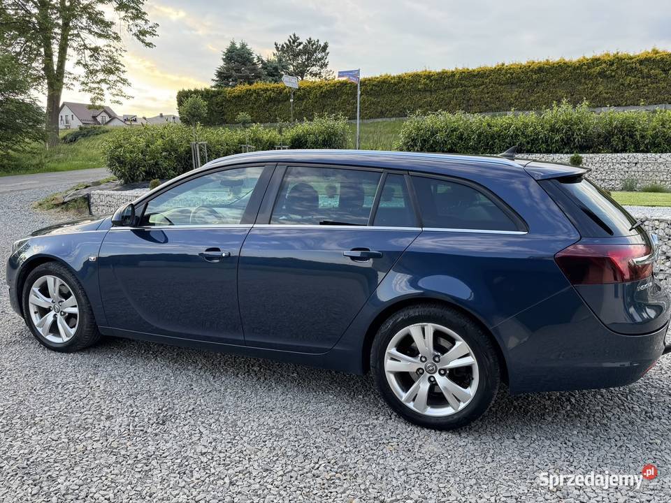 Opel Insignia 20Cdti Ecoflex Przysietnica sprzedam