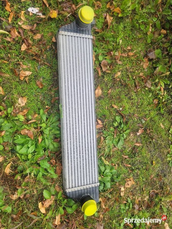 Chłodnica intercooler Renault Master 3 OEM śląskie Katowice