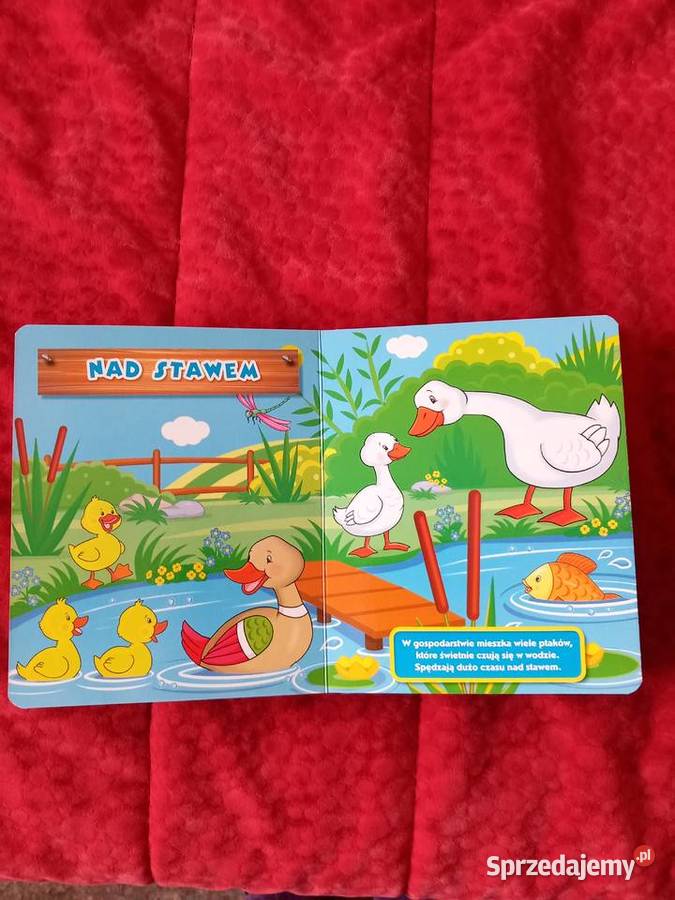 Na wsi ciekawa ksiązeczka Sosnowiec sprzedam