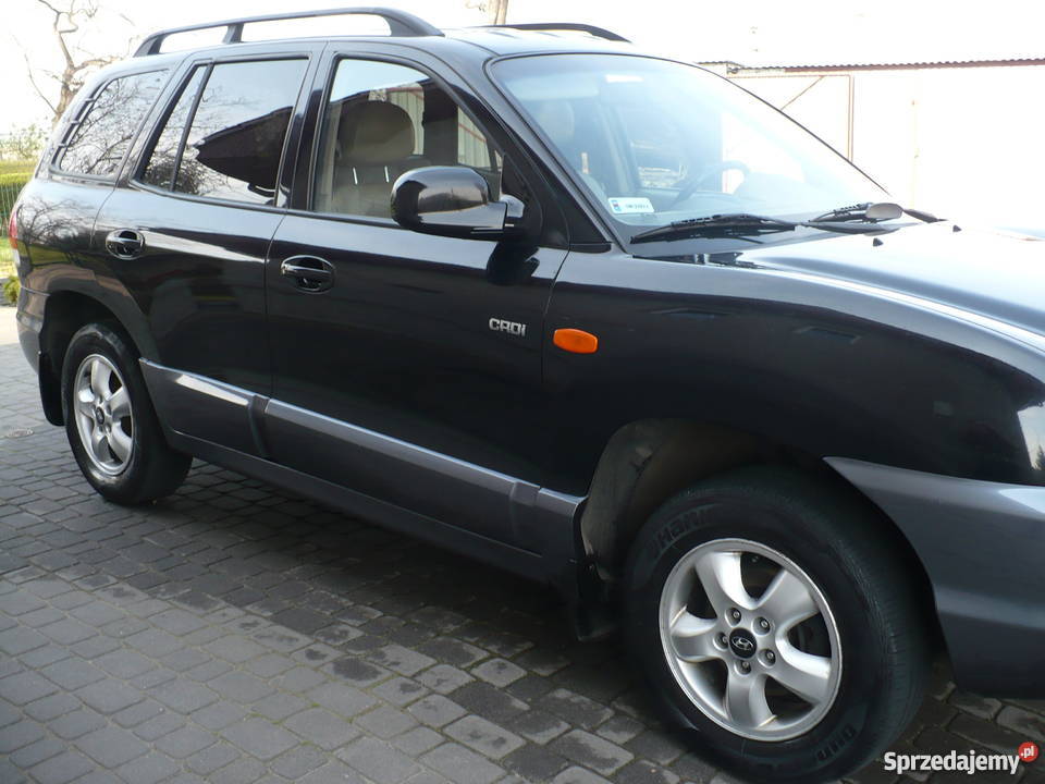 Hyundai Santa Fe 2005 20 Crdi 125AUT Mega Stan Strzelin