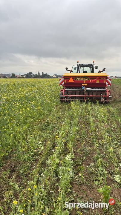 Siew wszelkiego rodzaju kukurydza Szczepanek