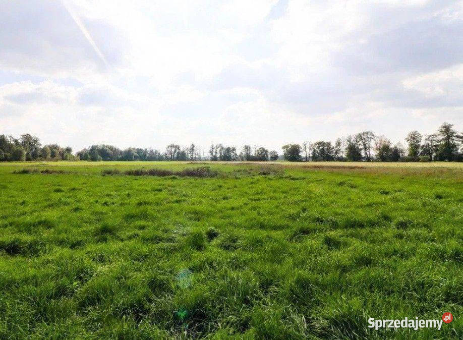 Cholerzyn działka budowlana 8 arów sprzedam