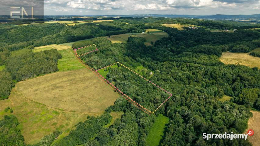 Działka Jaszczurowa 18900m2 sprzedam
