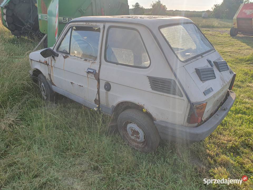 Do sprzedania w całości z przeznaczeniem na mazowieckie