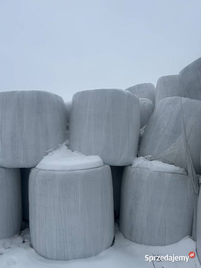 Bele Sianokiszonki sprzedam