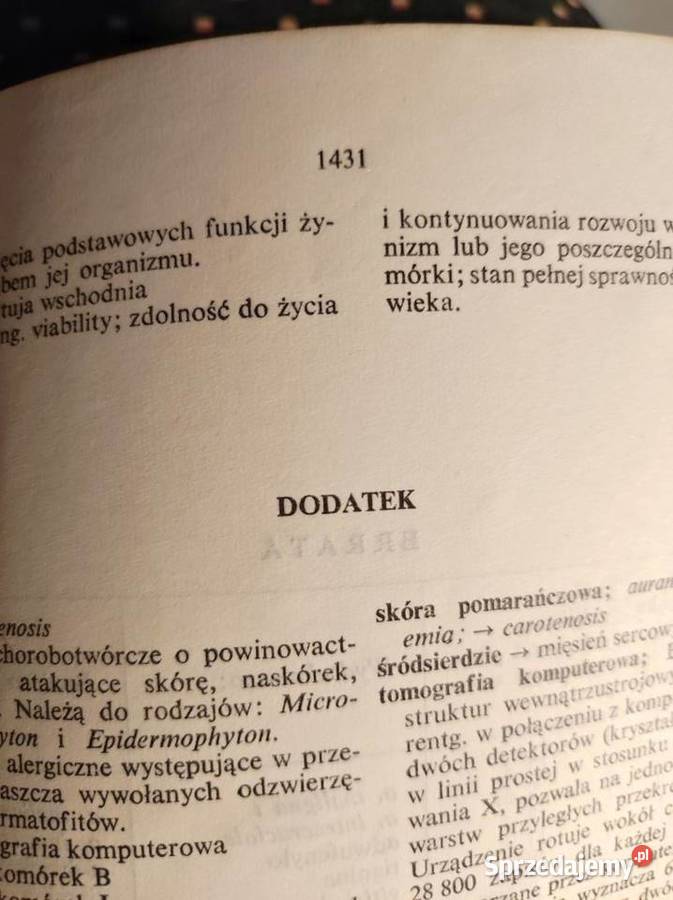 polski słownik medyczny Kielce