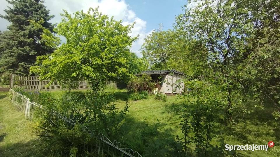 Działka ROD Łódź Dąbrowa