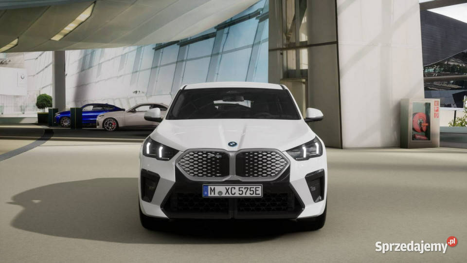 BMW iX2 iX2 eDrive20 Dostępne ręki