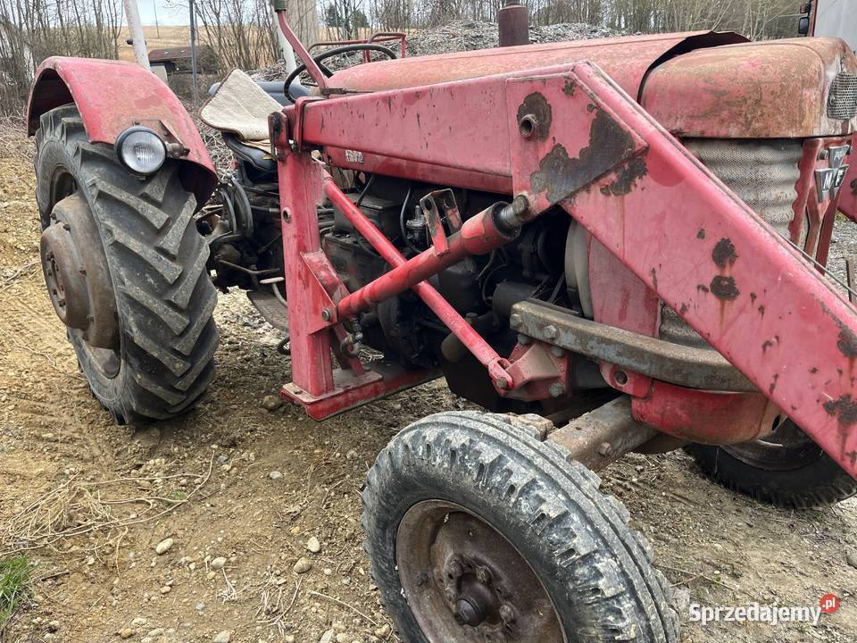 Massey Ferguson 65 Tur Niemcy Zamość