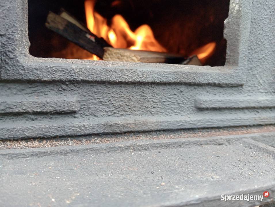 Piecyk koza Kraśnik sprzedam