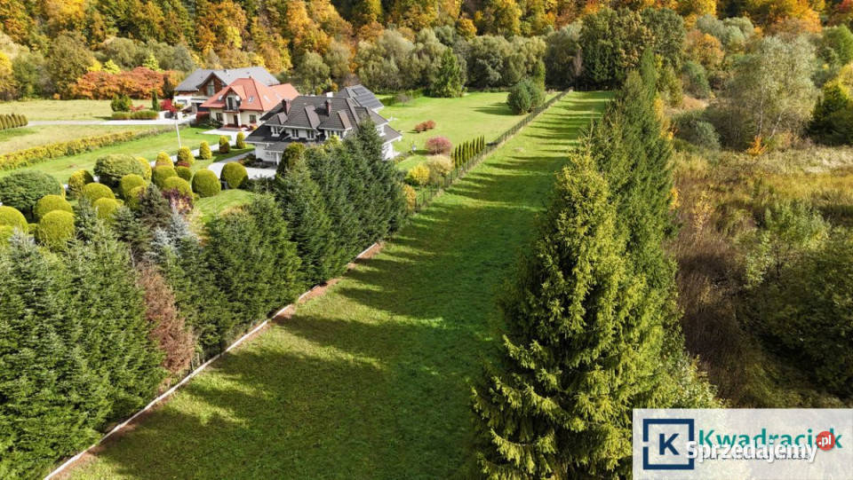 Działka Łączki 41000m2 Grunty i działki podkarpackie