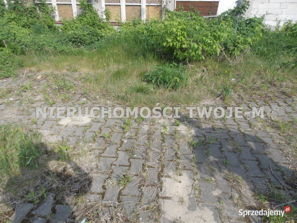 sprzedaży lokalu Ostrowiec Świętokrzyski 1600