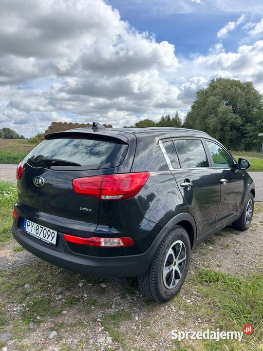 KIA SPORTAGE Rok produkcji 2015 wielkopolskie Wilczyna