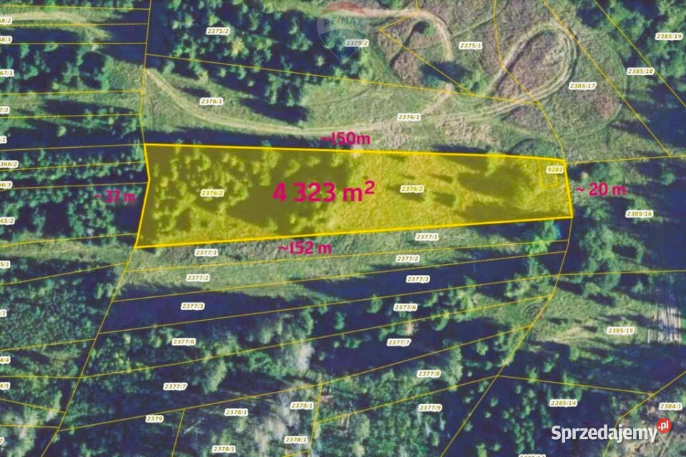 DZIAŁKI ROLNE SPRZEDAŻ DZIANISZDZIEDZICÓWKA