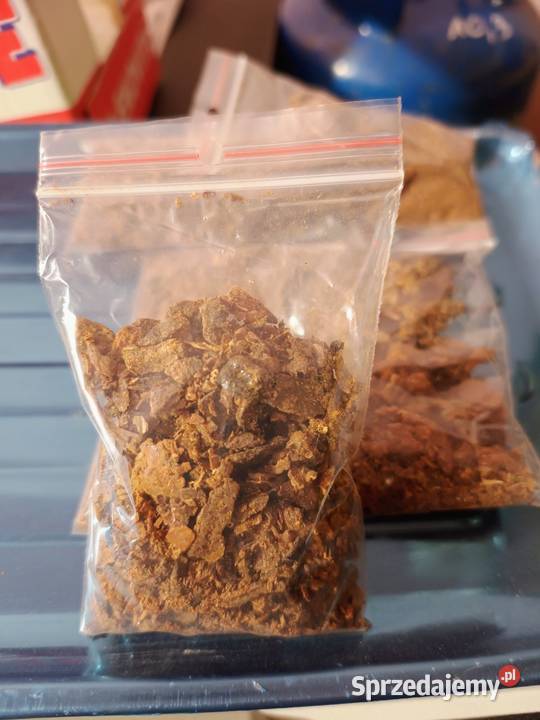 Propolis Kit Pszczeli 2024 Miód z własnej Lublin