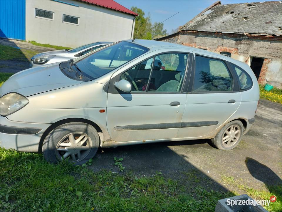 Syndyk sprzeda samochód osobowy Renault Megane Miłoradz
