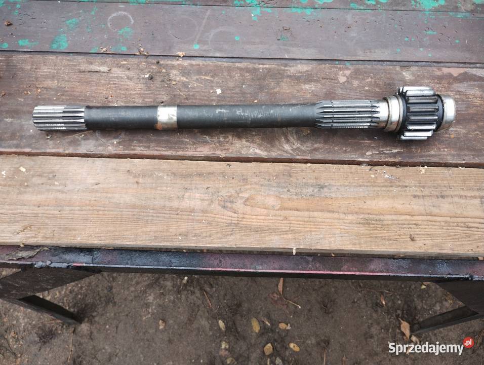 Sprzedam lewą póoś do c 330 m zęby nowe Cieciszew sprzedam
