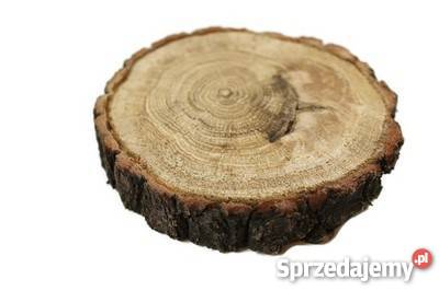 Plaster drewna dąb szlifowany 1012 Plastry Dekoracje i ozdoby Rybnik sprzedam