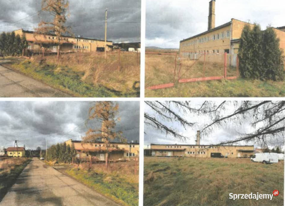 Syndyk sprzeda działka z budynkiem byłej Jasienica Rosielna sprzedam