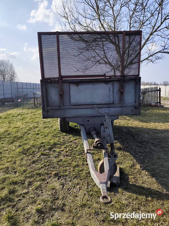 Rozrzutnik nieuszkodzony Koniecpol