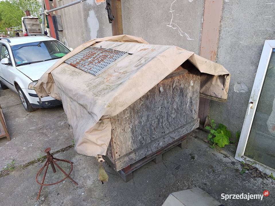 buda psa Żagań sprzedam