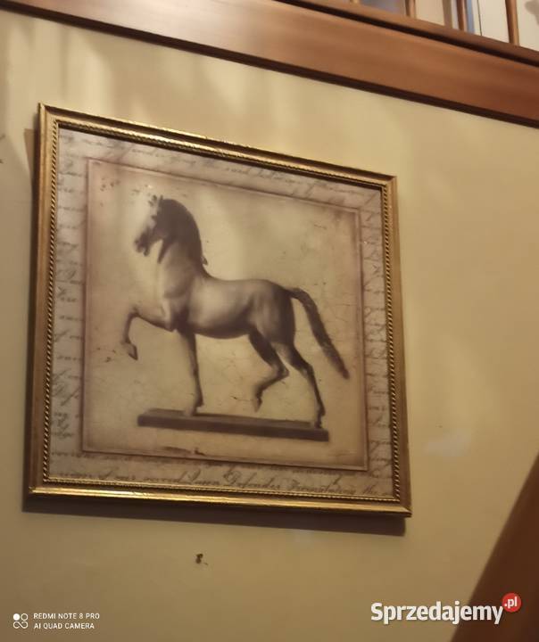 Obraz z koniem Sygnowany Replika pod szkłem Ramy Gdańsk