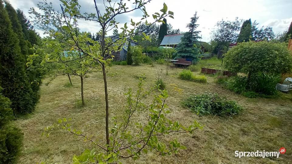 Działka rekreacyjna ROD Słonecznik Myki