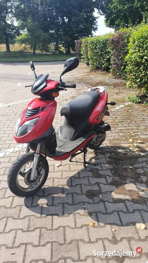 Skuter Zipp Steed 50 4t Wieleń