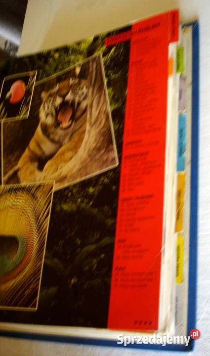 Świat Wiedzy Bochnia