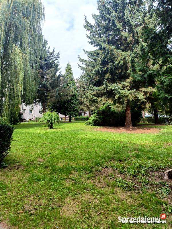 MIESZKANIE NA PARTERZE W KROŚNIE BATOREGO Sprzedaż Krosno